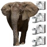 Four CT scanners ​combined equals the weight of an African elephant 